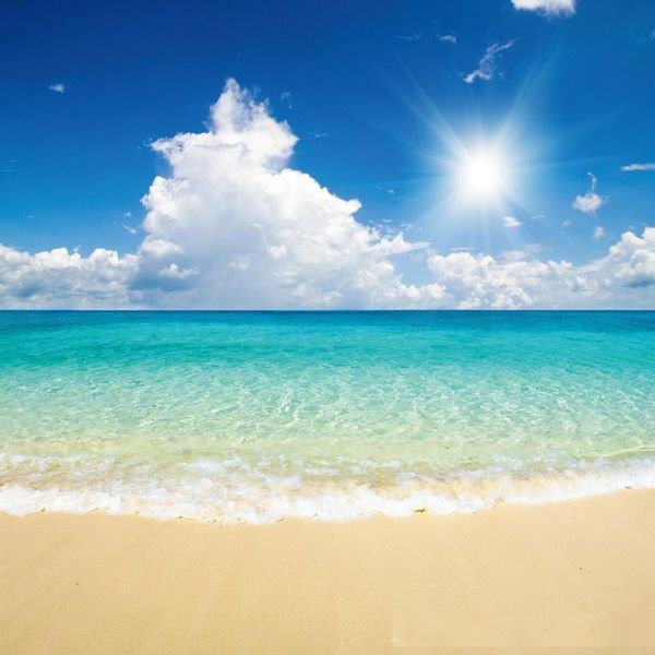 

p backdrop blue sea polka dots light bokeh palm tree wooden floor summer scene pgraphy background p studio pcall