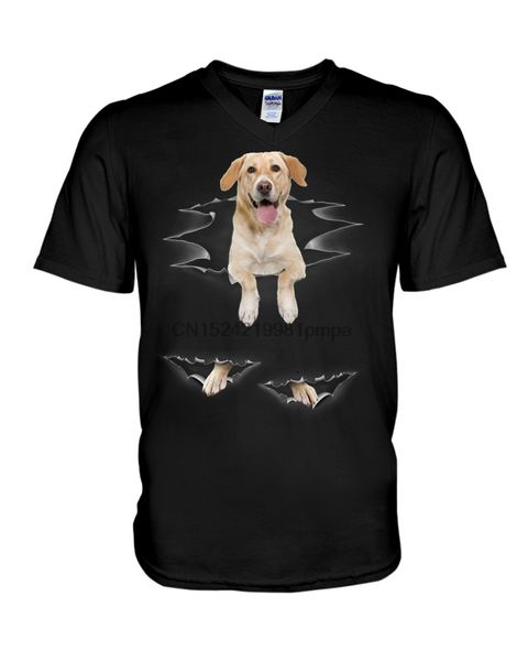 

men t shirt labrador retriever - torn 2(18) women tshirts