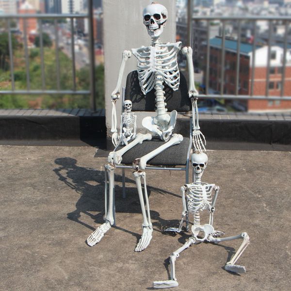 

16inch posable halloween skeleton- full body halloween skeleton with movable /posable joints body accessories for ha