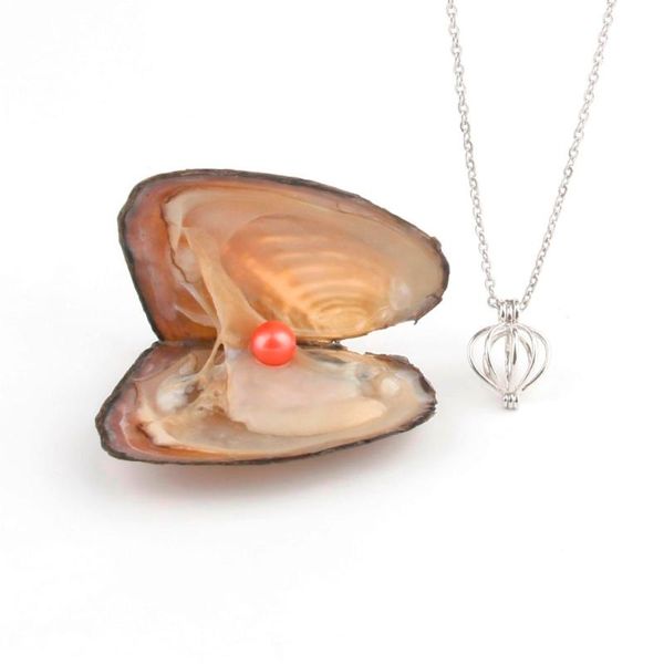 

pearl oysters with round 7-8 mm love wish real freshwater pearl and nacklace set (chain 55cm, Silver