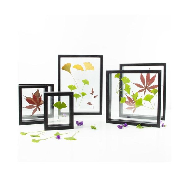 

wooden float frame for floating leaves flowers transparent images pictures diy gifts 9 sizes collection black white pine walnut