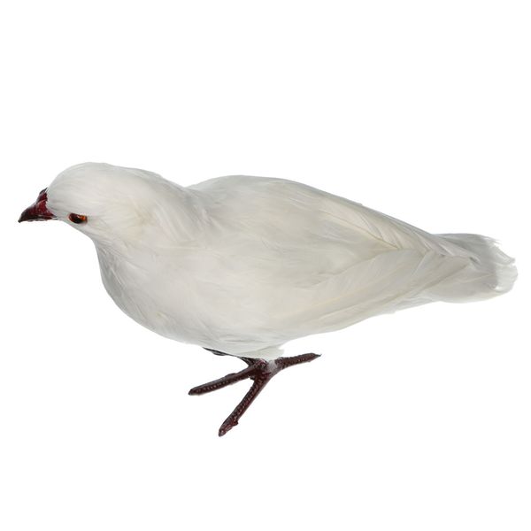 

lifelike artificial feathered pigeon bird for displays, crafting and more