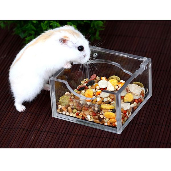 

акрил clear food water bowl блюдо для hamster крысы gerbil мыши шиншилла