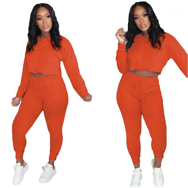 

natural color suits casual long sleeve lapel neck crop pencil pants women clothes women tracksuits fashion, Gray