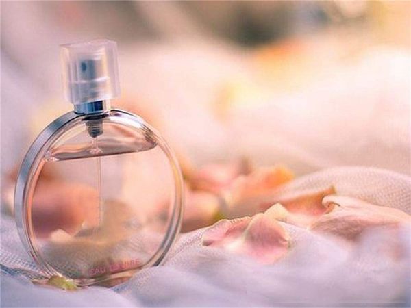 

popular pink chances edt fragrance for girl 100 ml charming smell perfume lasting long time natural