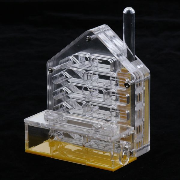 

clear ant feed farm formicarium box moisturizing 10x6x12cm