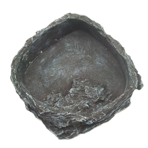 

reptile water dishes & food bowls for turtle tortoise lizard spider