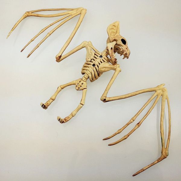 

halloween decorations bat skeleton halloween animal skeletons cne fast shipping factory direct sale