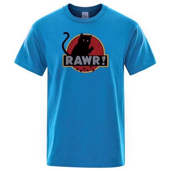 

2019 лето хлопок новый человек tshirt streetwear rawr cat мужские футболки забавный монстр топы высокого качества футболки мужской tee shirt