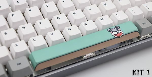 

6.25u cherry profile keycaps dye-subbed spacebar