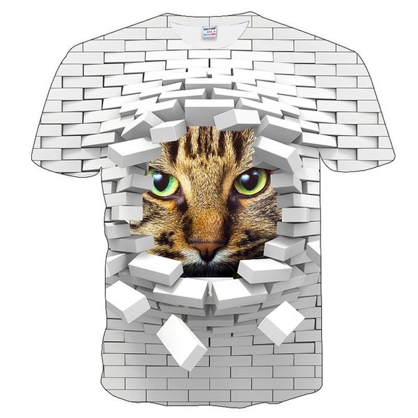 

cats meow star cat cartoon 3d 3d print shirts humor aesthetic anime men clothing