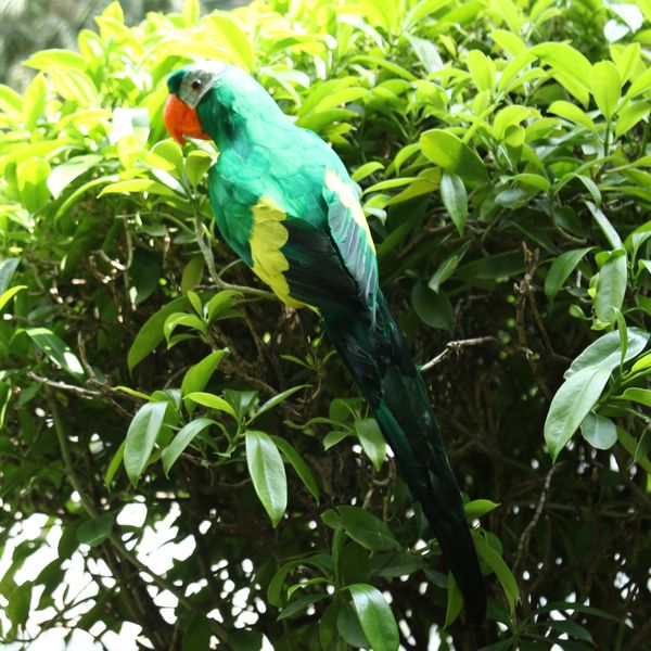 

2pcs feathered artificial macaw bird home garden decor parrot green&red