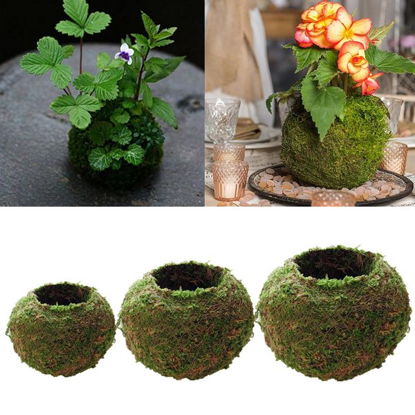 

set of 3 creative moss ball flower pot planter bonsai plant holder garden