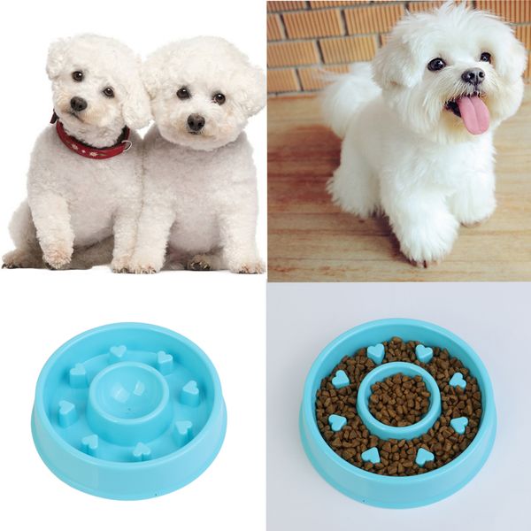 

pet feeding bowl food storage containers for pet animals