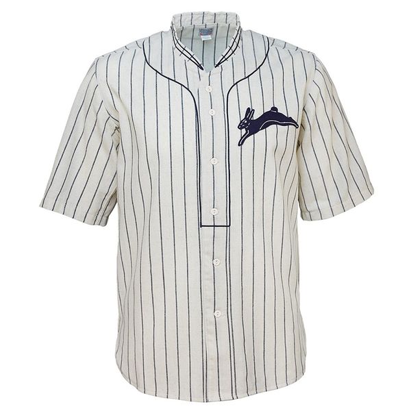 Cedar Rapids Bunnies 1929 Home Jersey 100% ricamo cucito Loghi Maglie da baseball vintage Personalizzato Qualsiasi nome Qualsiasi numero Spedizione gratuita