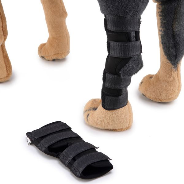 

neoprene pets dog foot protective pet knee pads dog joint wrap brace