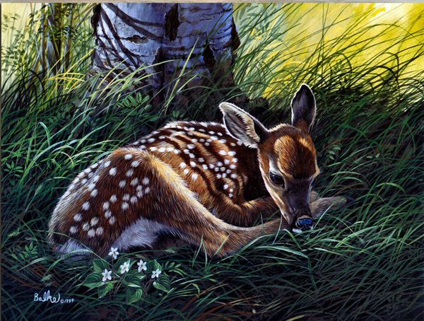 

дон balke fawn home decor расписанную hd печати картина маслом на холсте wall art canvas картинки 7571