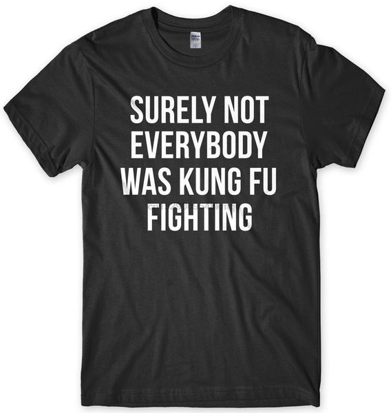 

surely not everybody was kung fu fighting funny mens t-shirt wholesale tees100% cotton for mant shirt printing