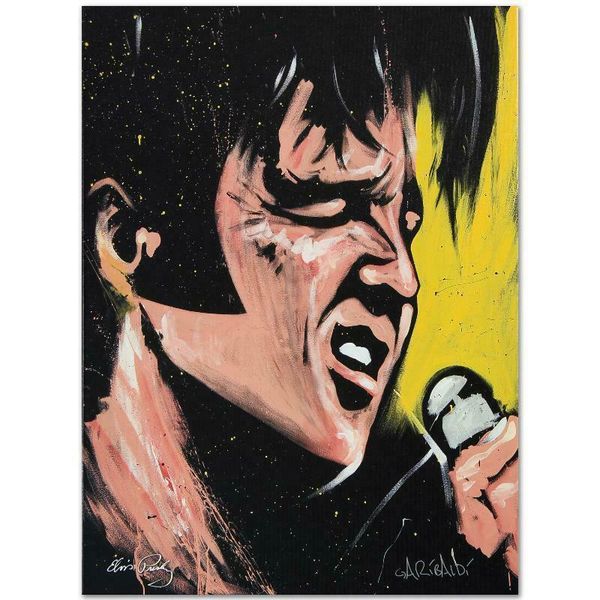 

david garibaldi elvis presley home decor handpainted &hd print oil painting on canvas wall art canvas pictures 200918