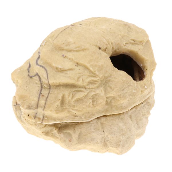 

смола reptile скрытие пещера с крышкой украшение украшение рыбы черепаха