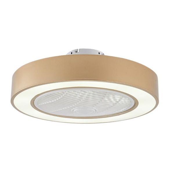 

electric fans 55cm smart led ceiling light with remote control 110v 220v drop
