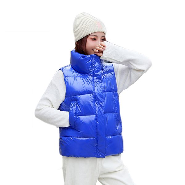 

skiing jackets 2021 ski women winter warm vest female outdoor sleeveless thermal breathable waterproof windproof snow