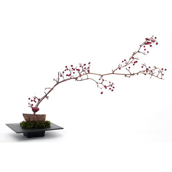 

пластиковая икебана suiban vase tray бонсай цветок контейнер ~ различные формы, черная