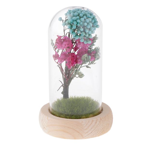 

wedding immortalized flower glass cover microlandscape home table decor