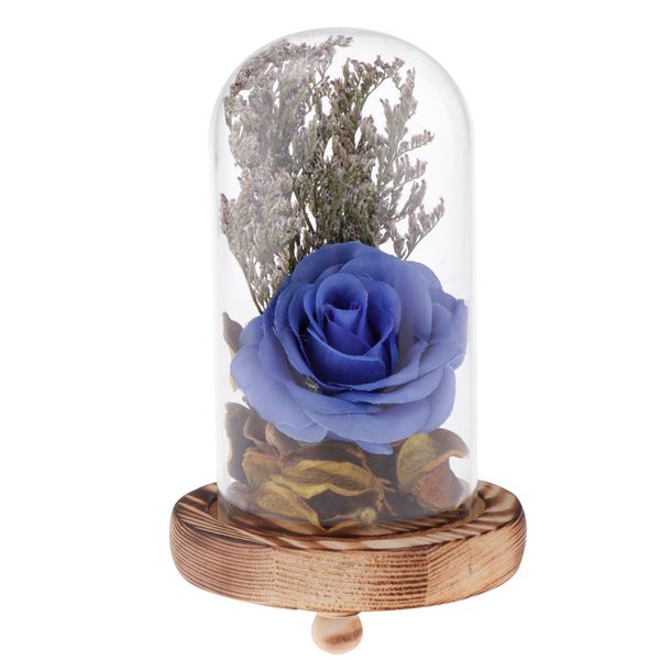

glass display cloche bell jar dome flower immortal preservation vase wooden base fairy garden decor