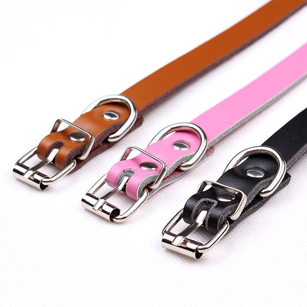 

dog cow leather collar cat collar bite-proof protector pet supplies teddy vip small dog collar