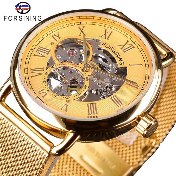 

forsining 2020 luxury full golden skeleton watches men's mechanical watches water resistant stainless steel, Slivery;brown