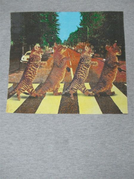

cats walking like abbey road spoof - medium - gray t-shirt- b1161