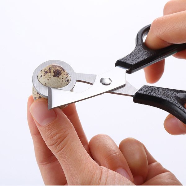 

quail egg cutter scissors stainless steel quail egg scissors for home metal egg cutter green yellow black red