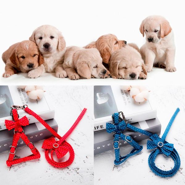 

ishowtienda pet cat dog cat wave point tie vest chest straps belt set adjustable dog accessory