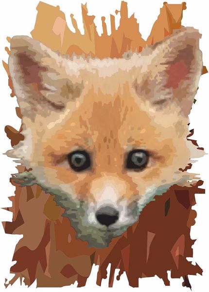 

o-neck cotton casual t-shirt wild fox woodland tees rustic country nature wildlife animal country fashion company t shirt