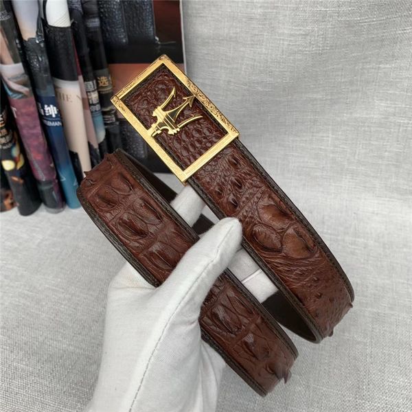 

authentic real crocodile skin staineless steel pin buckle men's waist belts exotic genuine alligator leather male straps, Black;brown