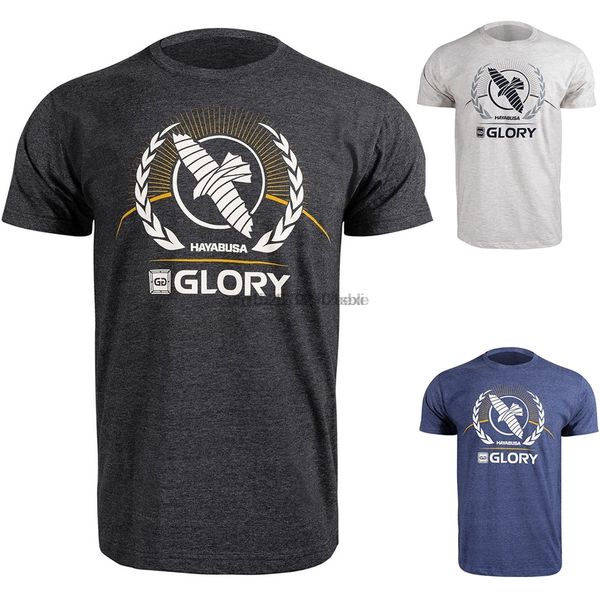 

hayabusa glory название t-shirt