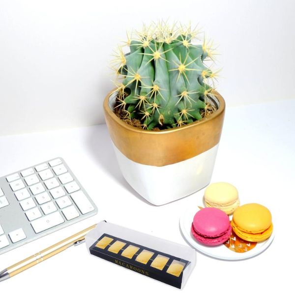 

gift wrap 10pcs plastic macaroon packing box package bake for candy cookies