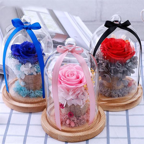 

preserved rose glass cover eternal rose glass cover valentine's day gift gift diy for girlfriends wife