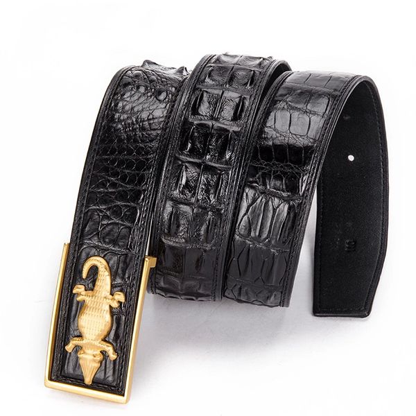 

authentic real crocodile skin men waist strap belts for man stainless steel smooth buckle genuine alligator leather male belts, Black;brown
