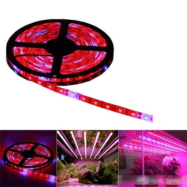

full spectrum smd5050 led grow strip light non-waterproof led grow light for hydroponic plant growing lamp grow box red blue 4:1