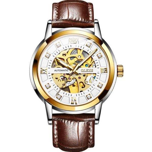 

leather man watch automatic wristwatches for men luminous mechanical male watches tourbillon relogio masculino waterproof, Slivery;brown
