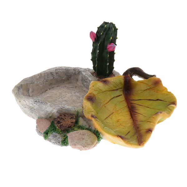 

reptile tortoise water dish food tray bowl amphibians gecko snakes lizard snake plate bowl feeding tools