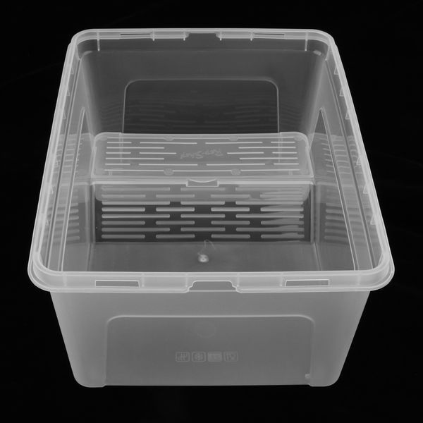 

рептилии черепахи tank террариум аквариум с ramp платформы