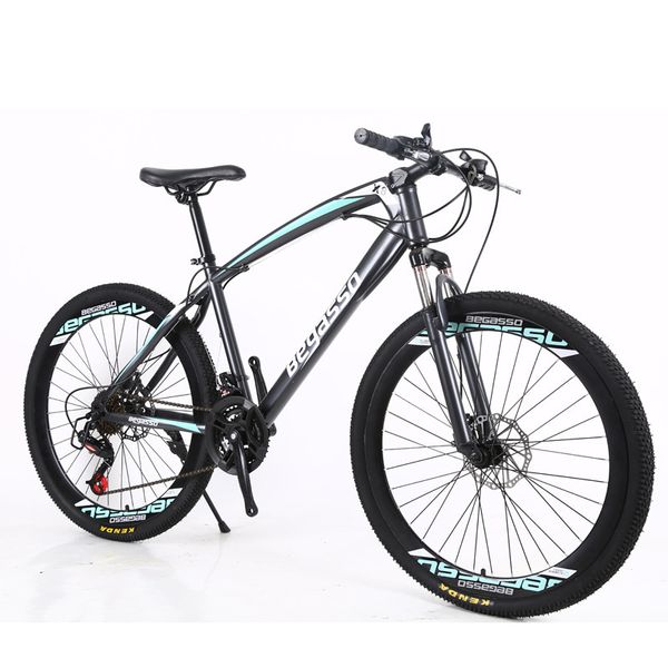 

26/24 inch high carbon steel chain double disc brake standard mountain bike
