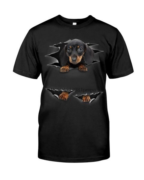 

men t shirt dachshund - torn(29) women tshirts