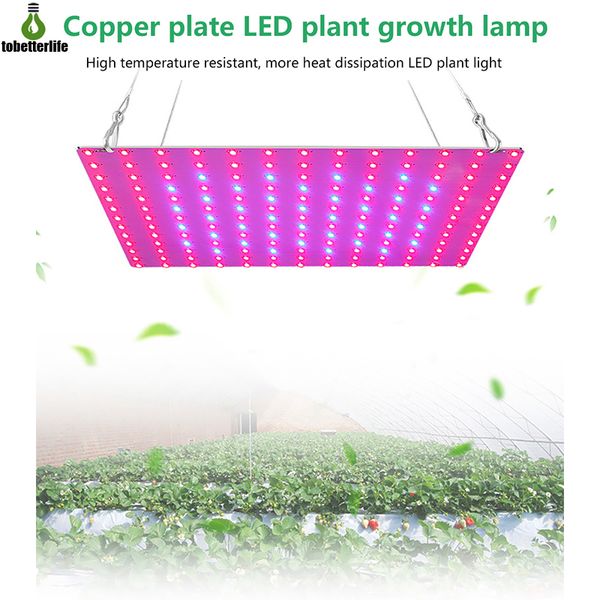 Pianta LED Grow Light 85-265V Phytolamp 2835 81led 169led IP20 Crescita non impermeabile Illuminazione Lampada per piante idroponica a spettro completo