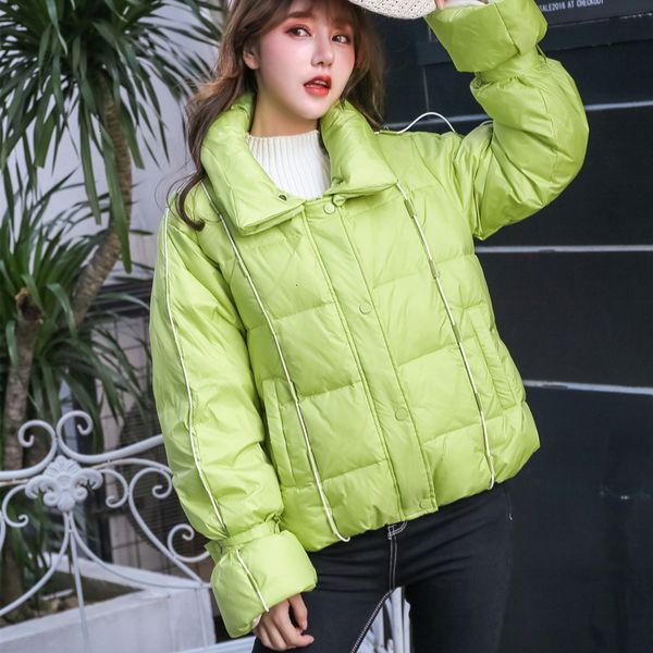 

white duck feather zipper coat, paka winter cover, women's spacious dress 2020