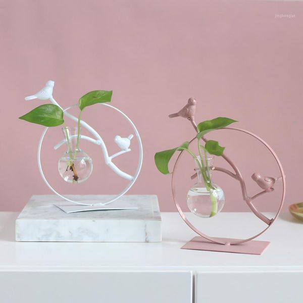 

creative green plant water culture container glass vase living room table decoration tv cabinet decoration display decor j1