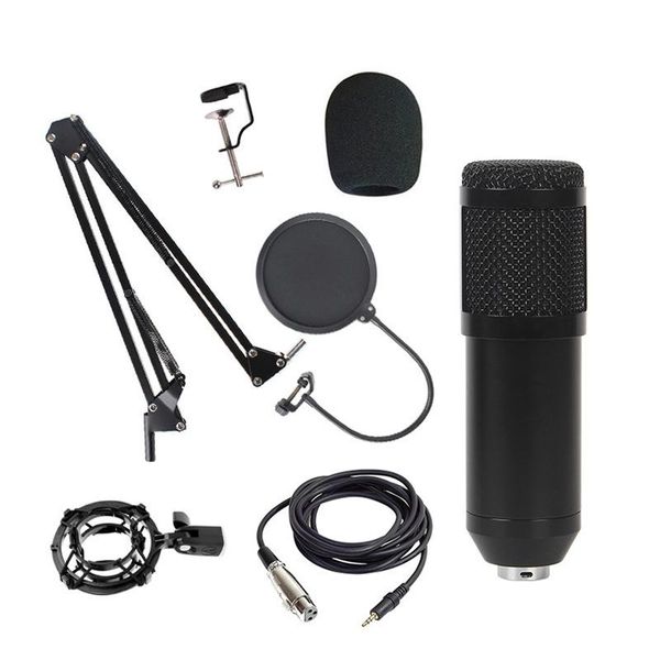 

professional karaoke microphone condenser microphone kits bundle for computer studio recording-eu plug